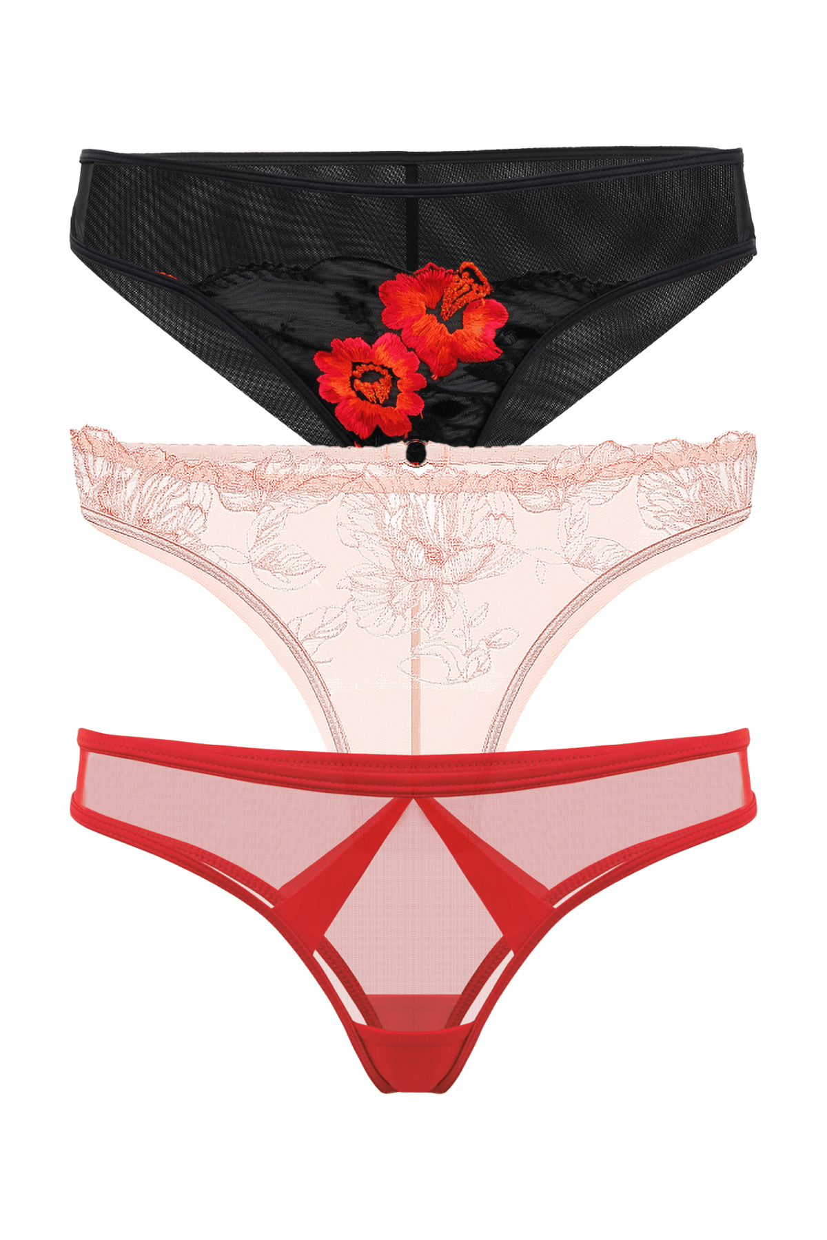 Color Brief & Bikini