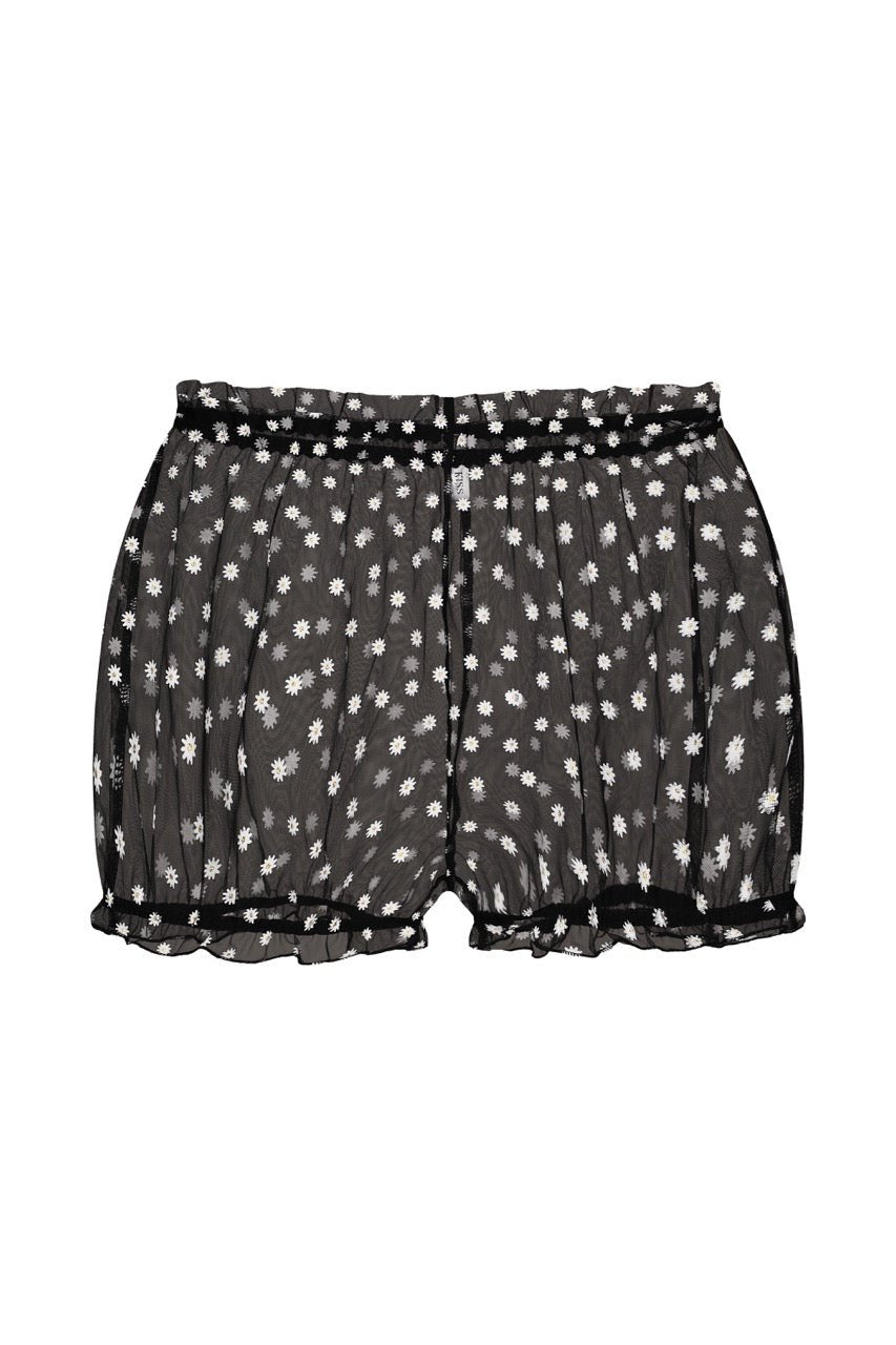 Chamomile Shorts Black