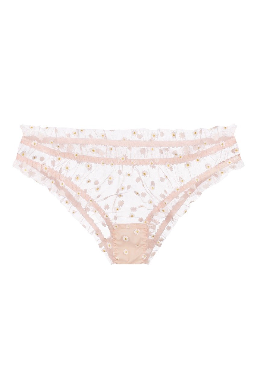 Chamomile Panty Peach