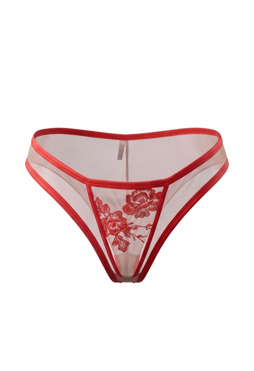Alissia red bikini with floral embroidery, product shot