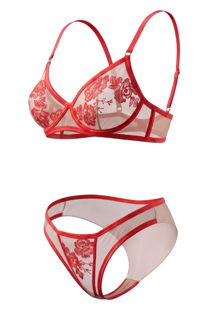 Alissia Underwire Bra Set Red