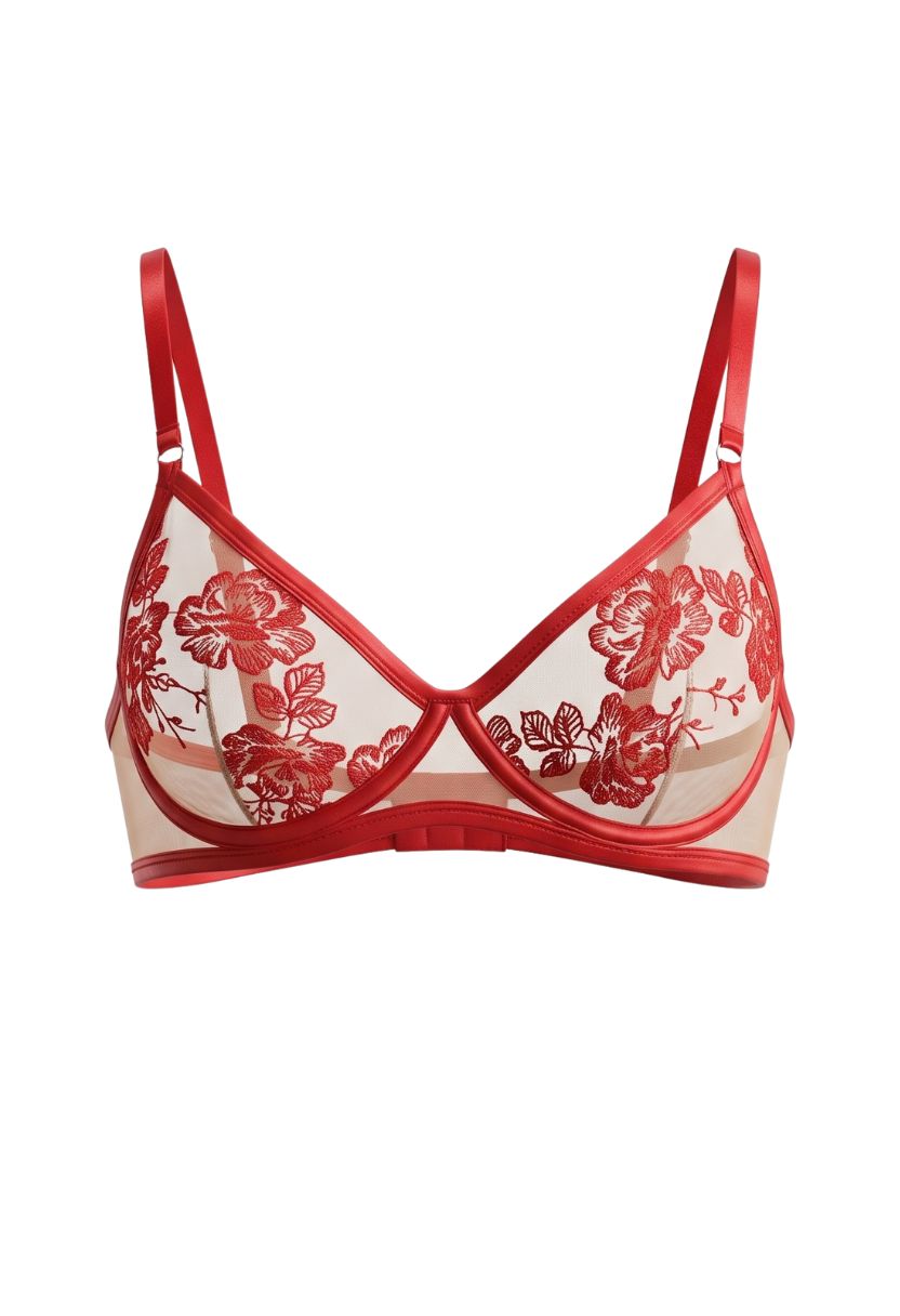 Alissia red underwire bra with floral embroidery, product shot