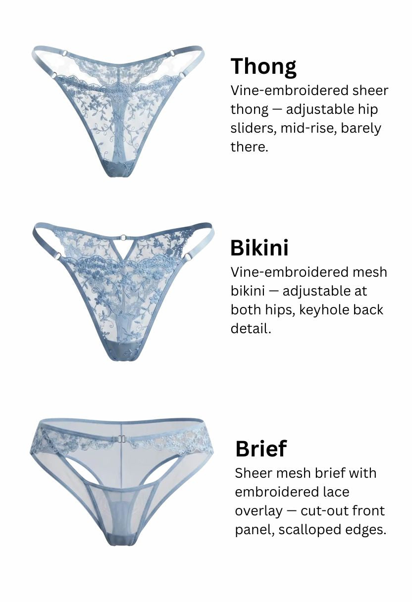 Three pairs of sheer lace thong underwear are shown on a white background with text labels identifying each style: Thong, Bikini, and Brief. The thong is light blue, the bikini is medium blue, and the brief is sheer light blue mesh with a pale blue lace overlay.