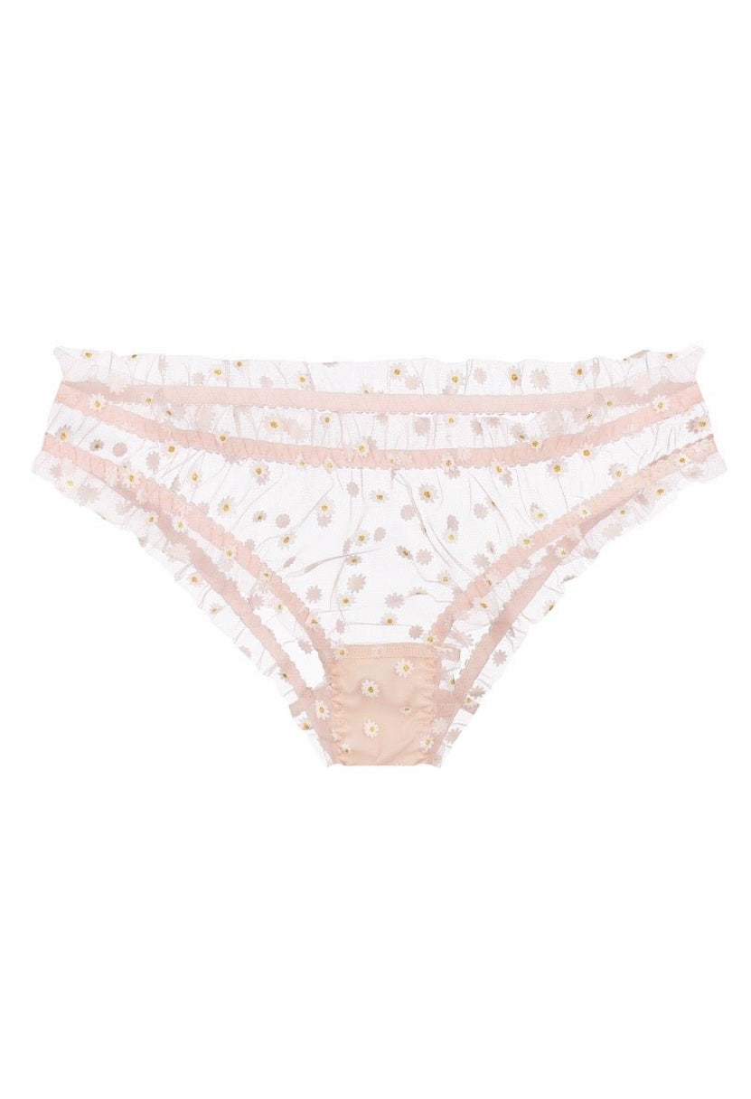 Chamomile Panty Peach