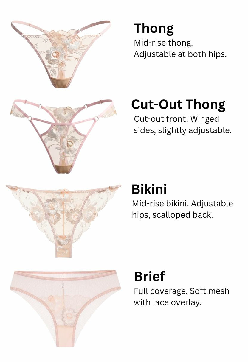 A product information graphic showing four styles of sheer lace lingerie bottoms with text labels: Thong, Cut Out Thong, Bikini, and Brief. Each item is pictured against a light gray background with black descriptive text beside it.