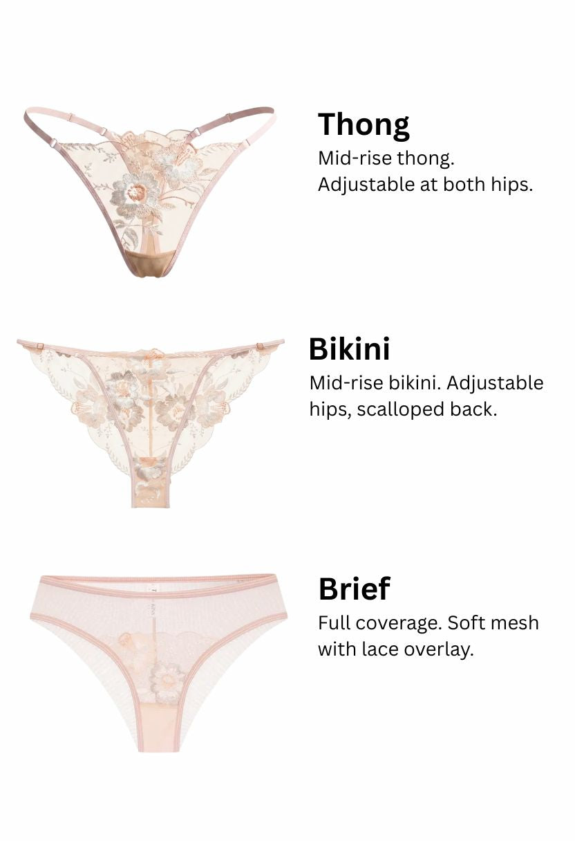 A product information graphic showing three styles of sheer lace panties: Thong, Bikini, and Brief, with text descriptions and small product photos on a white background.