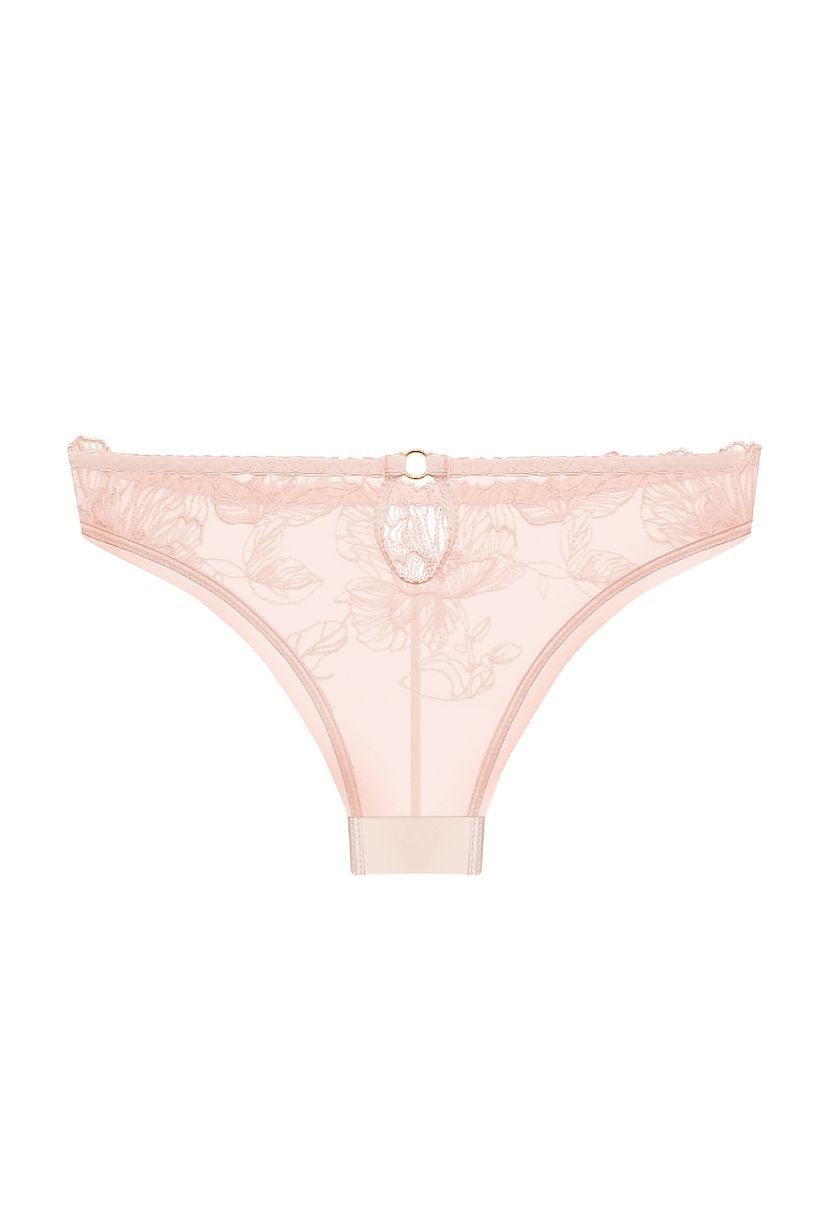 Color Brief & Bikini